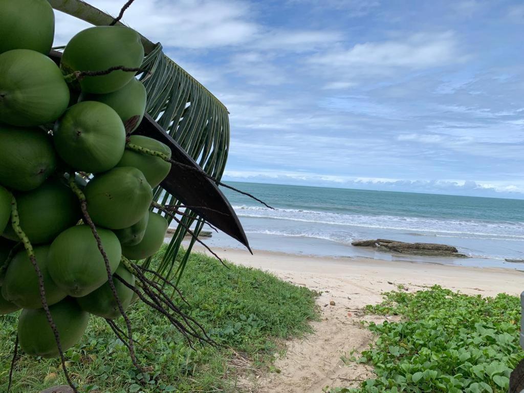 Casa No Paraiso Dos Carneiros Em Tamandare Ngoại thất bức ảnh